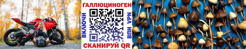 Галлюциногенные грибы мицелий  Купить закладки  Володарск 