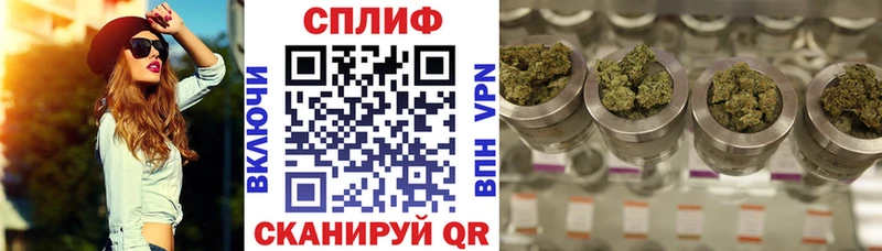 Шишки марихуана THC 21%  Купить где  Володарск 